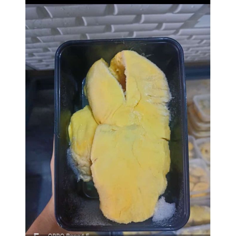 

Montong bali premium