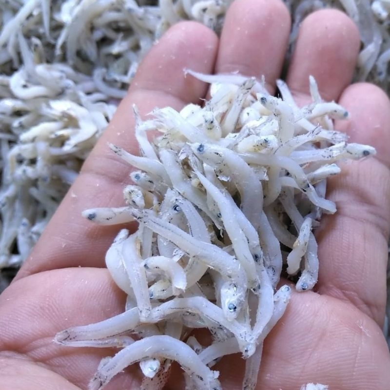 

Ikan Asin Teri Nasi Medan Super 1 kg