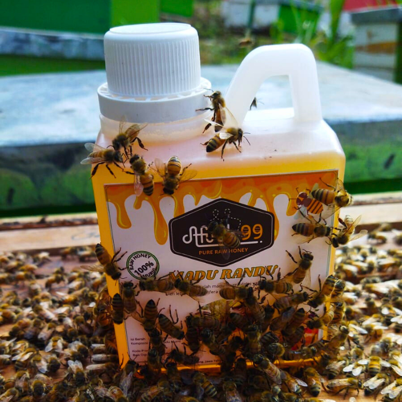 

Madu Murni Afifah 99 650gr (500 ml) Madu Multiflora - Madu Randu - Madu Rambutan - Raw Honey