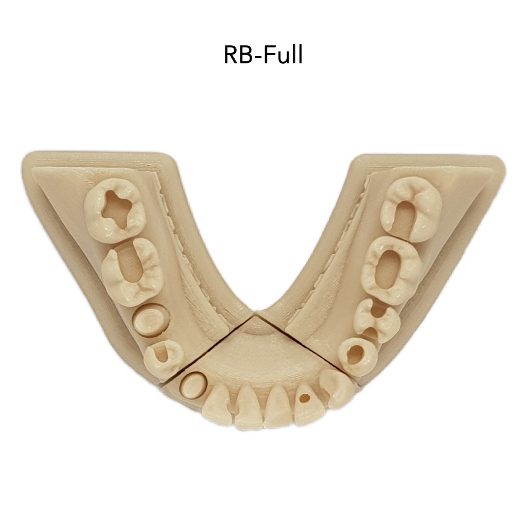 Model latihan tambal gigi hands on restorasi model gigi bolong model konservasi model tambal gigi