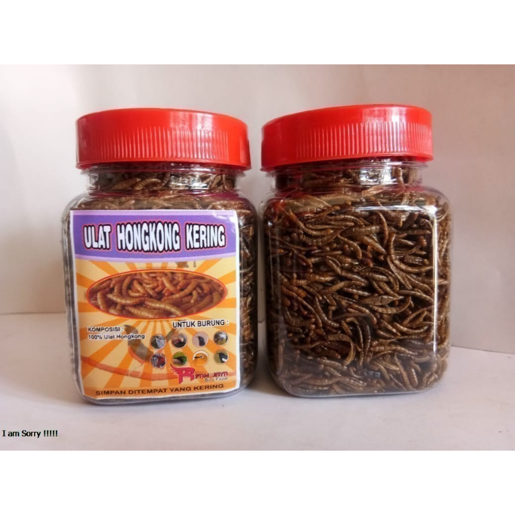Ulat Hongkong Kering Dry MealWorm