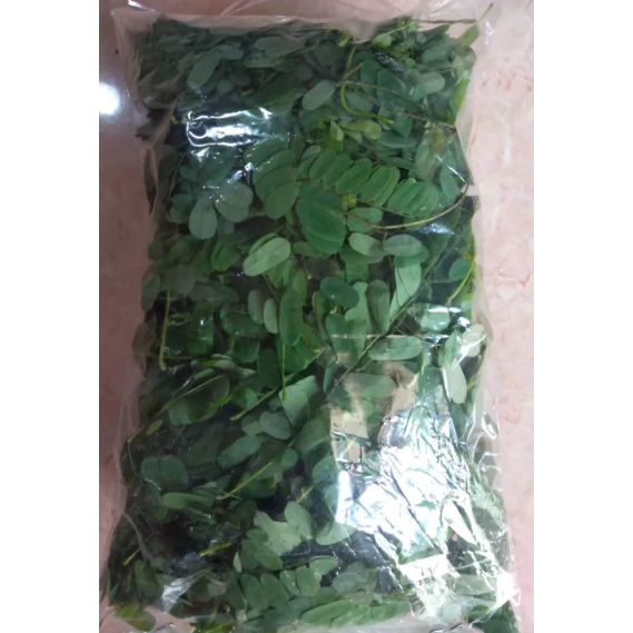 

Daun saga segar / Daun sogo segar / Daun sege herbal kesehatan tubuh