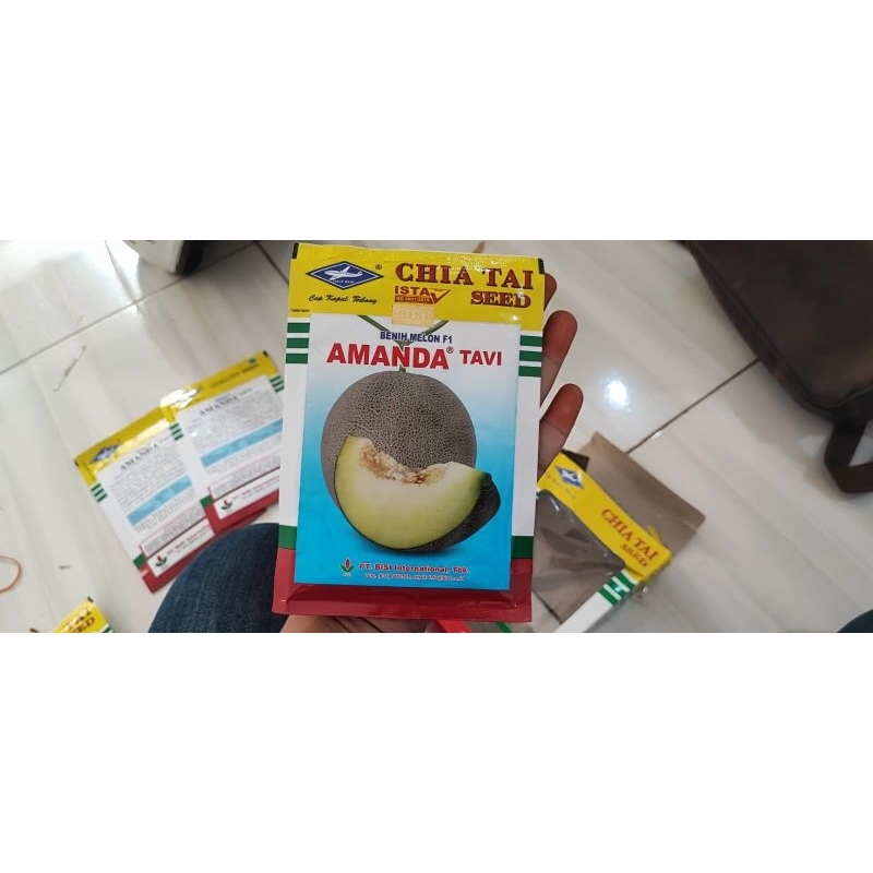 Benih melon Amanda JAMINAN ORIGINAL