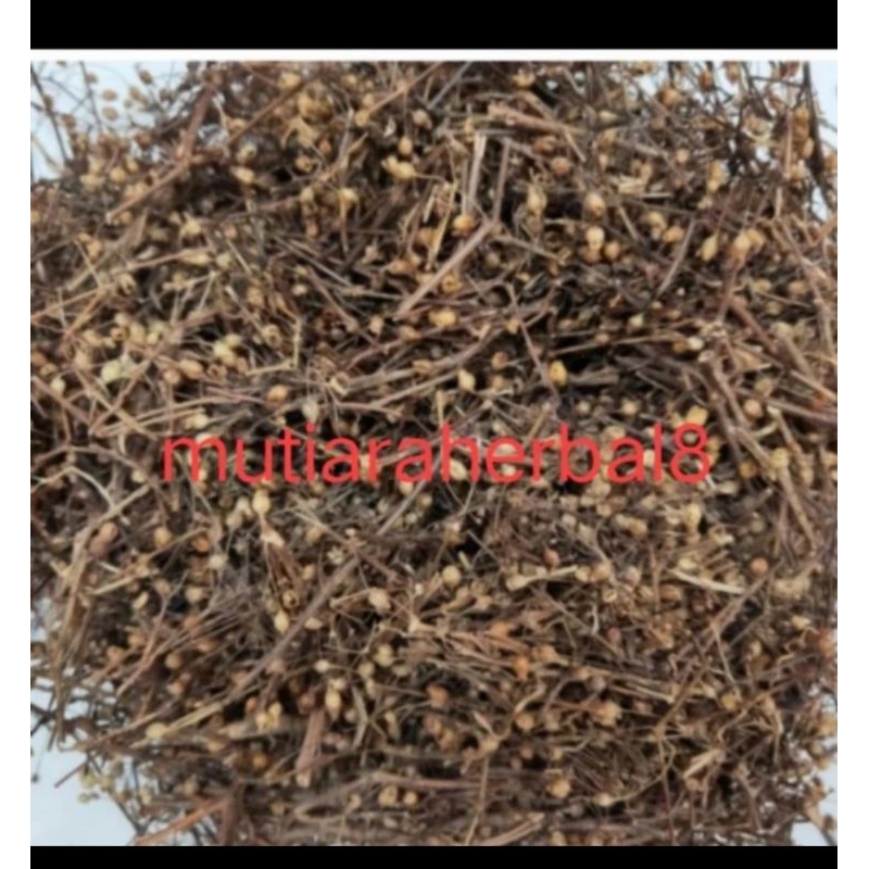 

Tan chao / Mo Tan chao / untuk panas dalam 100gram