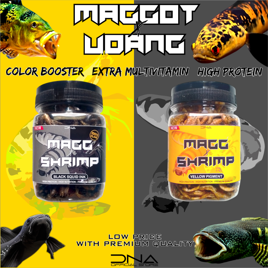 MAGG SHRIMP KERING BLACK &amp; YELLOW MIX Maggot X UDANG Alami pakan untuk tinggi akan protein Channa Arwana Louhan Oscar Pbass Koi Koki peacock bass 100% alami BUKAN bangfish bosbosqu fajar arif el barca
