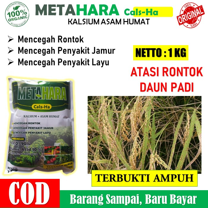 (PROMO MURAH) Pupuk Kalsium METAHARA 1 KG Pupuk Padi Anti Rontok Bunga dan Buah Tanaman Padi yang Ba