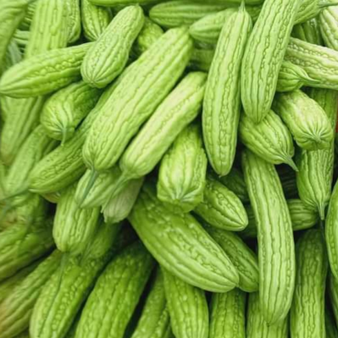 

Pare Segar 500 gr