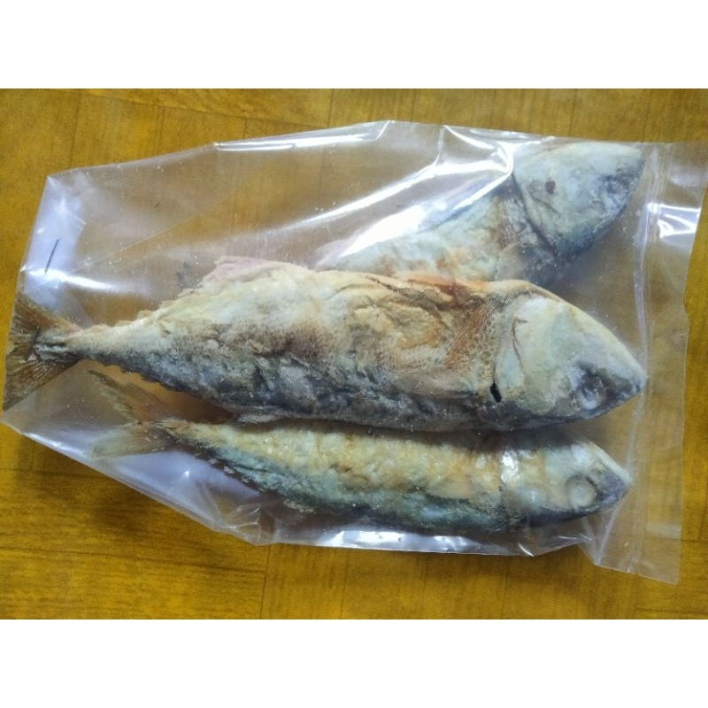 

ikan peda besar