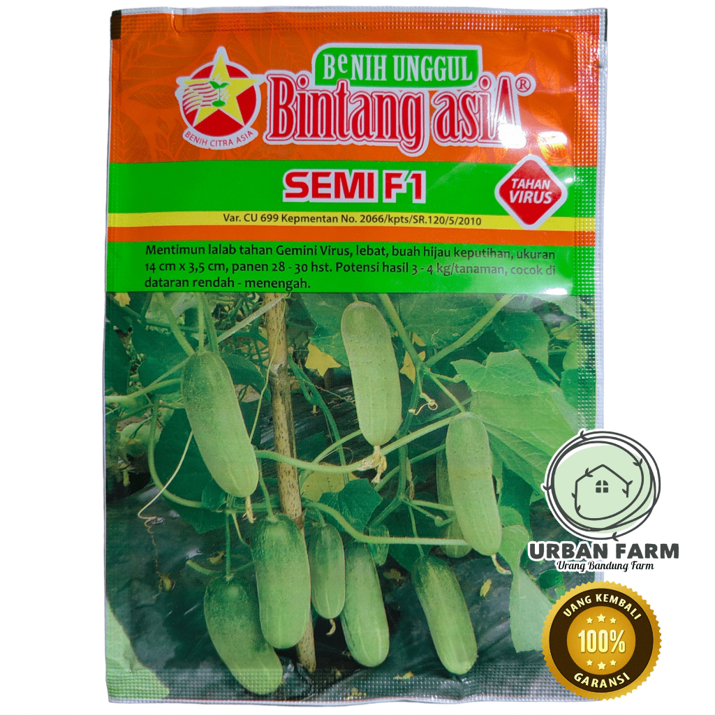 Benih Timun Mentimun SEMI F1 / 20 gr / Bintang Asia