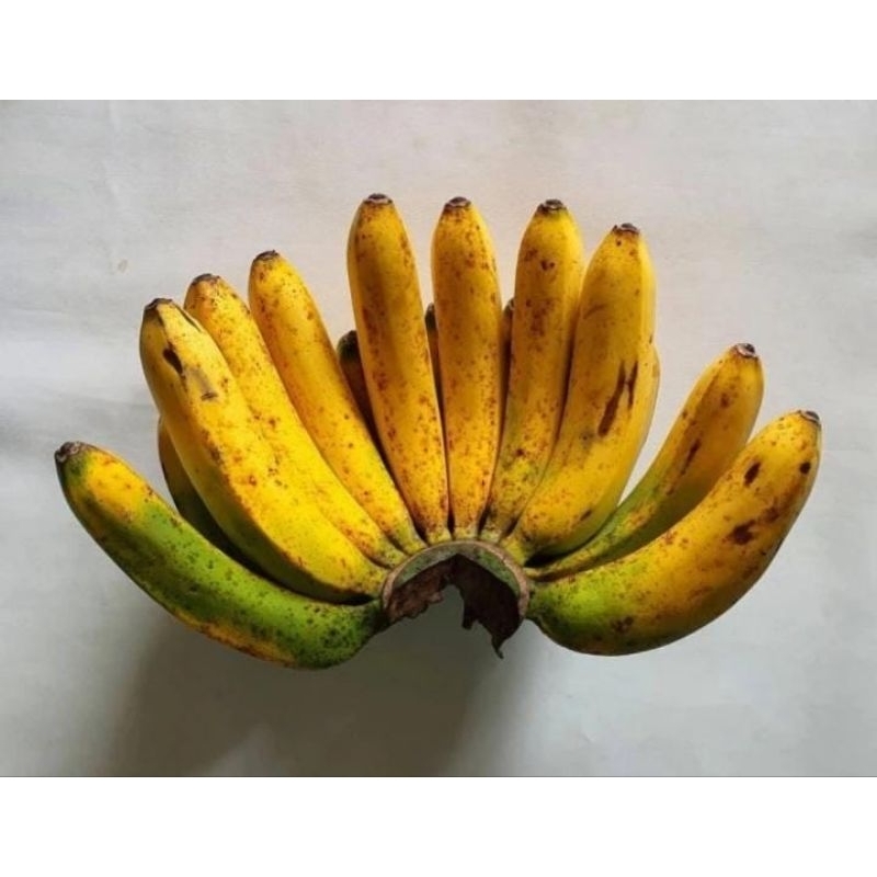 

Pisang barangan medan 1 sisir / pisang barangan medan manis