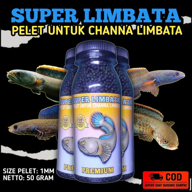 Pelet channa limbata 1mm pakan ikan channa limbata | channa gachua | channa bleheri | channa andrao