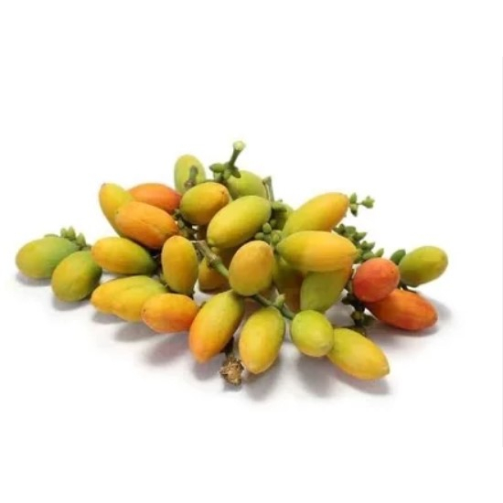 

SayurHD Buah Melinjo 100gr