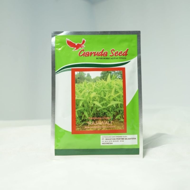 Benih Kangkung Rajawali 50 gram