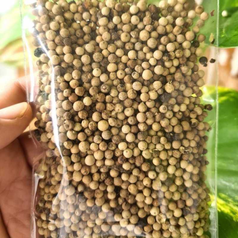 

Lada putih biji / white pepper whole