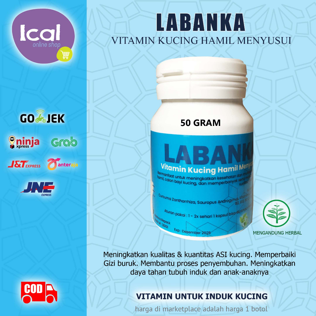 Labanka Vitamin Kucing Hamil Menyusui