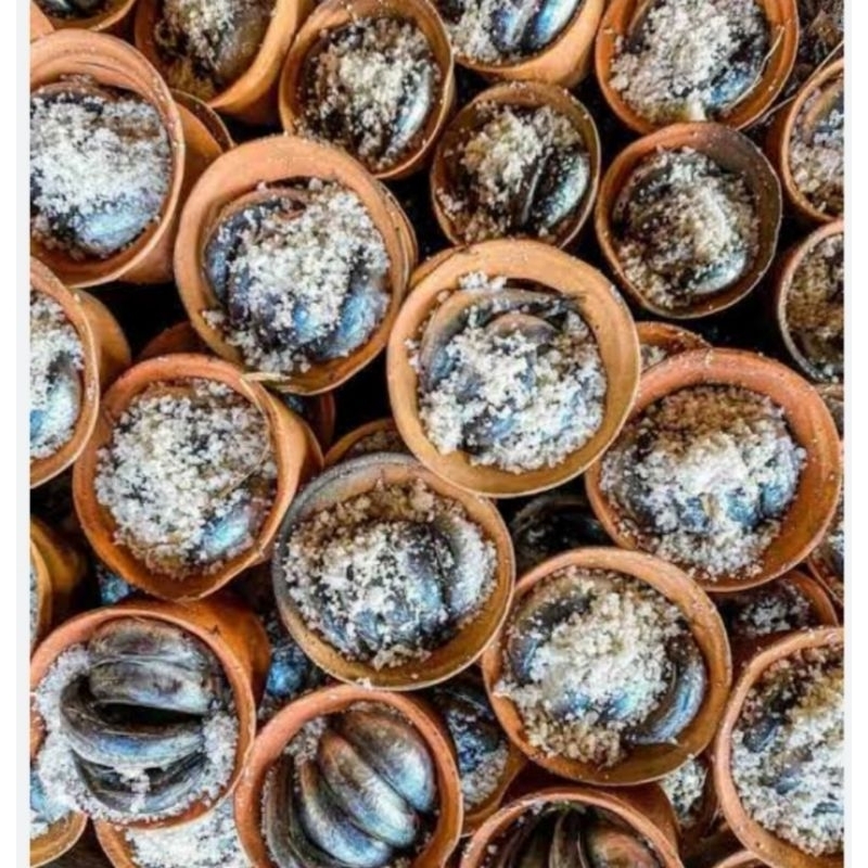 

ikan belanak kendil asli / ikan pindang