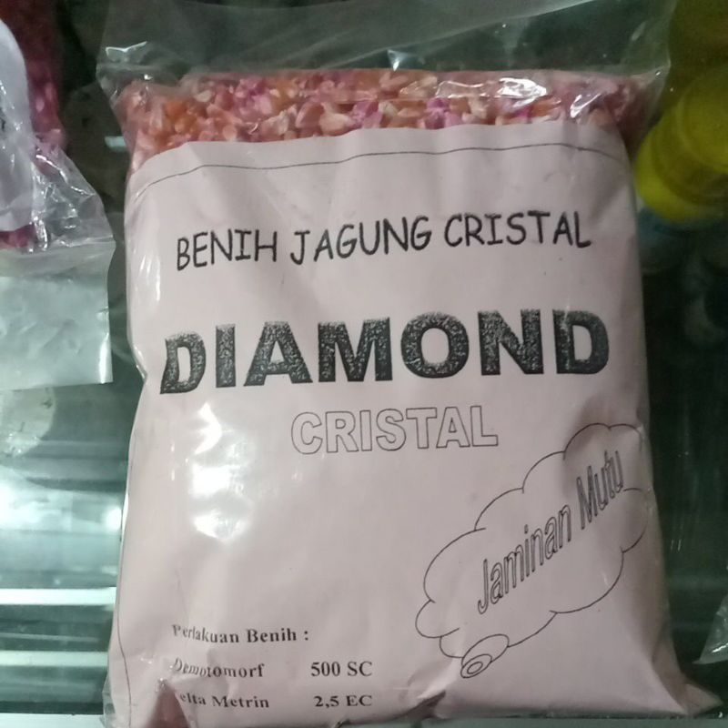 Benih jagung UNYIL kristal 1KG