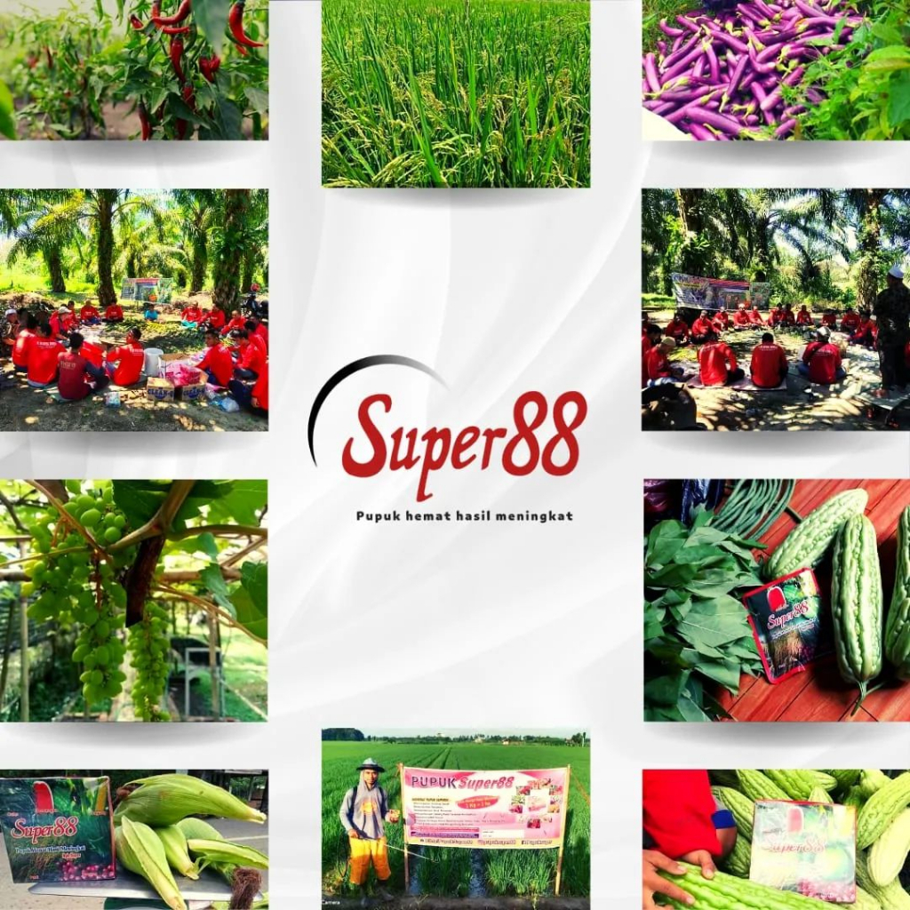 Pupuk NPK SUPER 88 1kg original