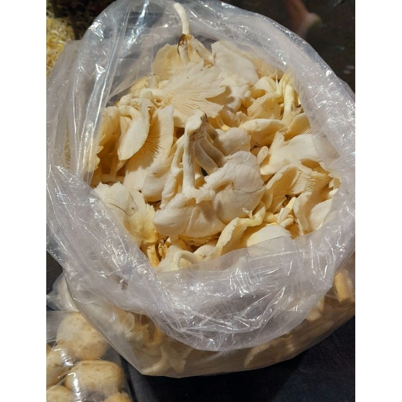 

Jamur putih 500 gr
