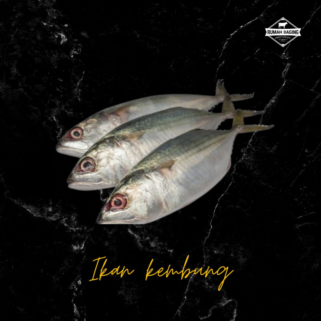 

ikan kembung besar 1kg