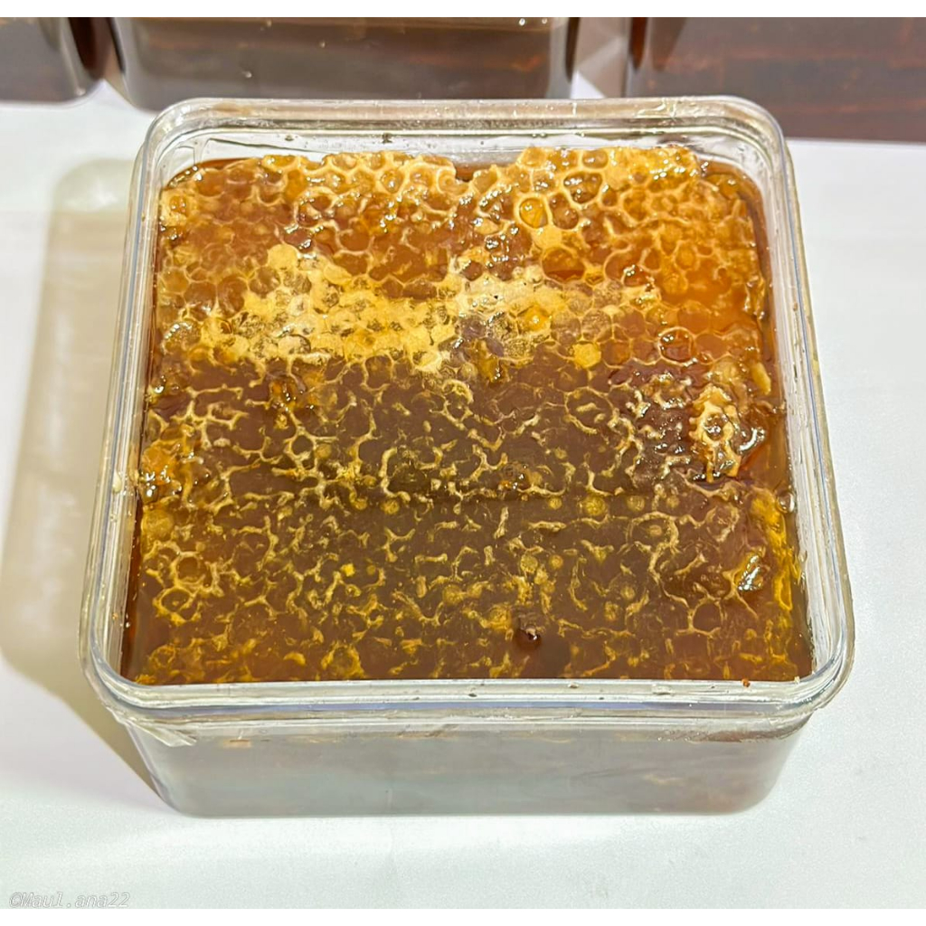 Madu Sarang Asli Kualitas premium Manis legit 300 gr