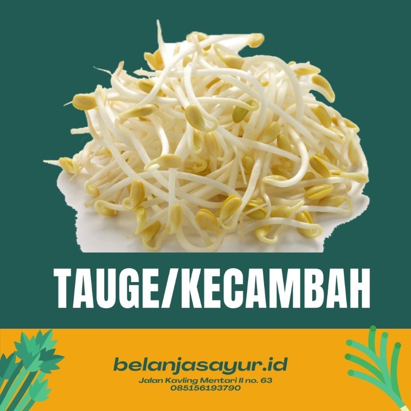 

TAUGE / KECAMBAH SAYUR SEGAR