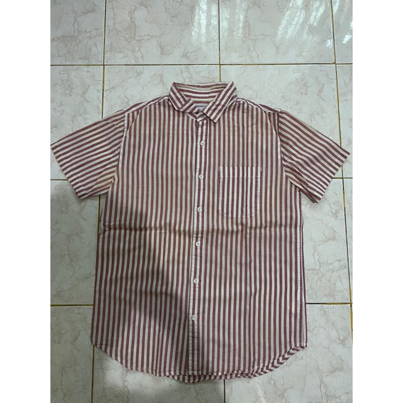 Kemeja Pink by Celcius