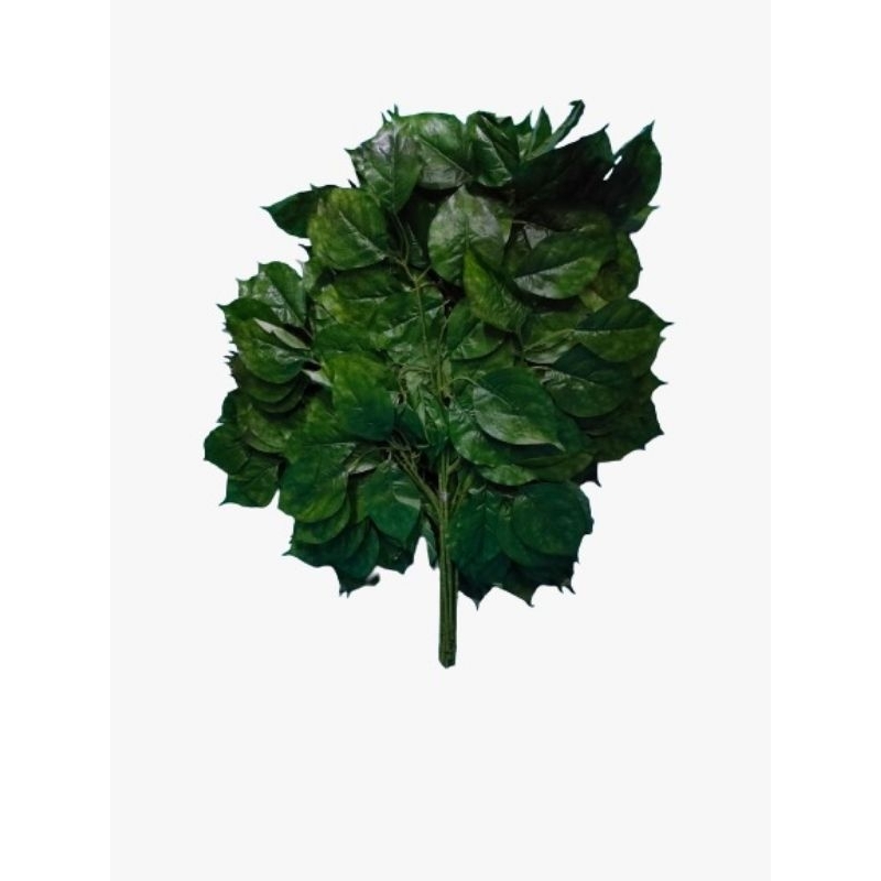 DAUN SINFU/DAUN HIAS PLASTIK/BUNGA HIAS/BUNGA PLASTIK/TANAMAN HIAS