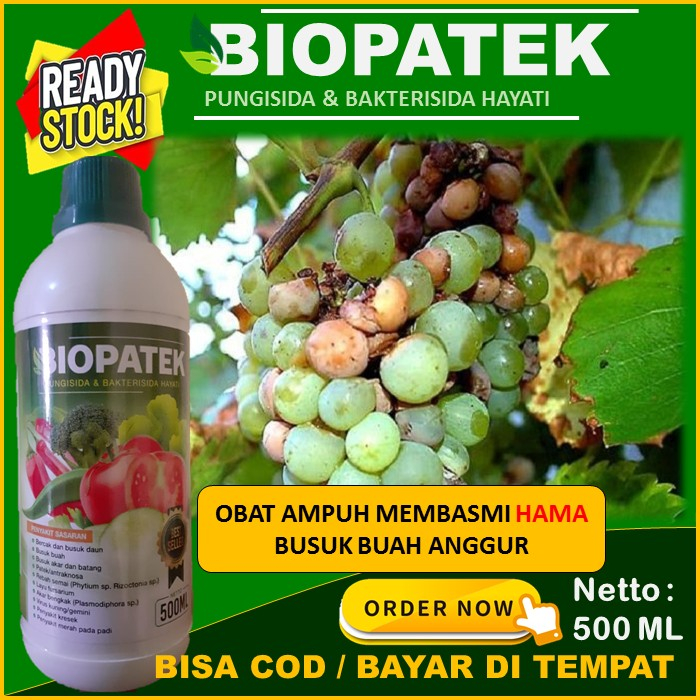 Cod langsung kirim Biopatek Fungisida & Bakterisida Hayati 500 Ml Pupuk Cair Terbaik Mengatasi busuk