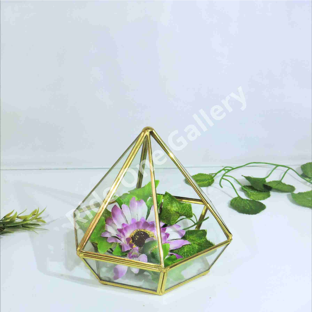Glass Hexagon Terrarium Ring Box| Terarium Kaca | Kotak Perhiasan | Accessories Jewelry Organizer | 