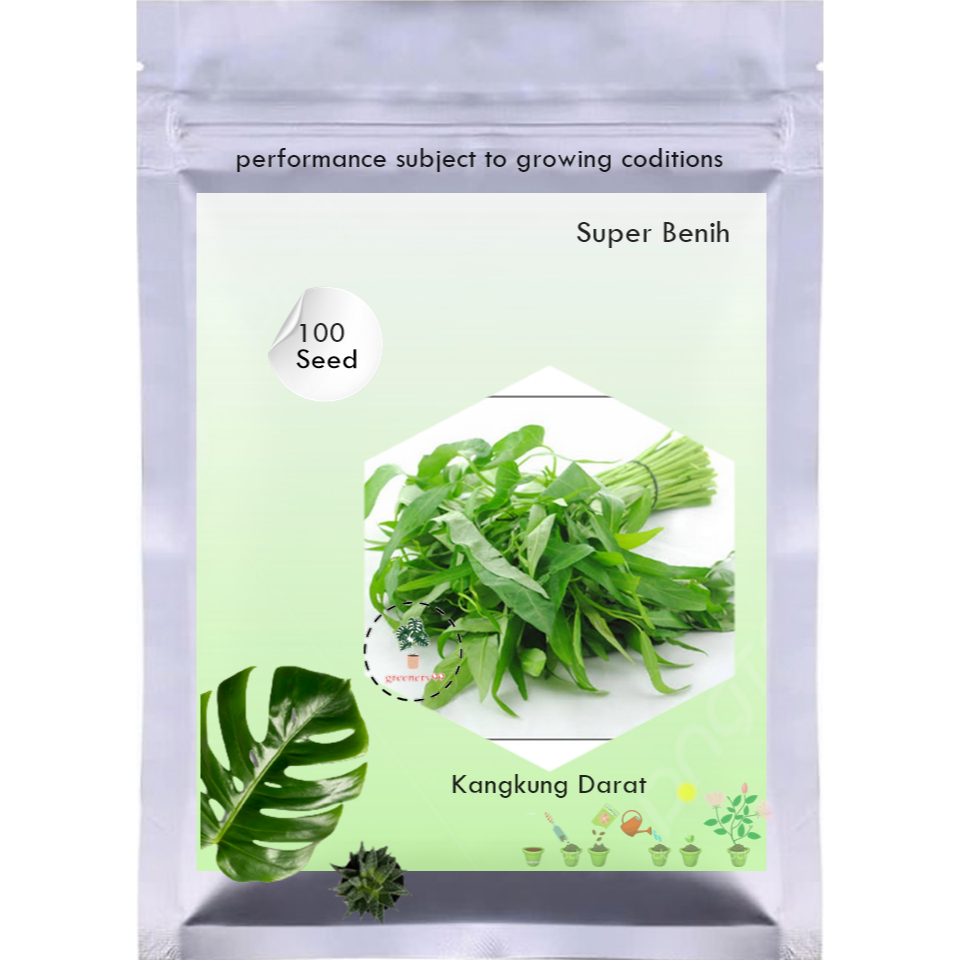 Benih Kangkung 100 butir Benih Kangkung Darat  Kangkung Serba Seribu