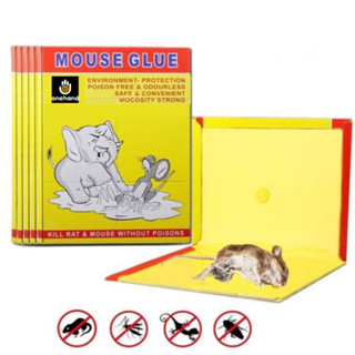 LEM TIKUS PAPAN CAP GAJAH IMPORT dan LEM TIKUS PAPAN HIJAU GLUE BOARD MOUSE RAT