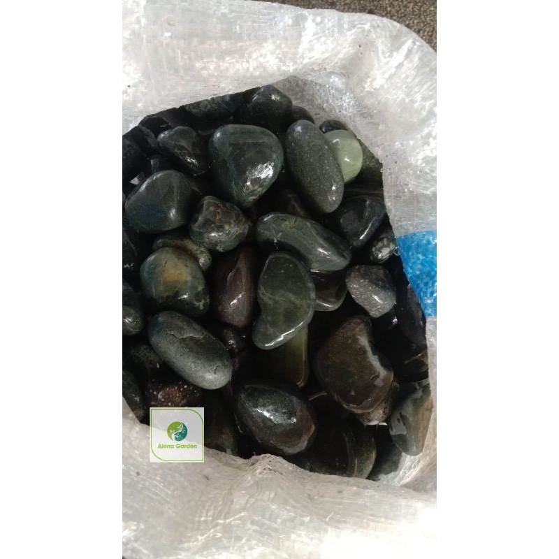 BATU KORAL HITAM BENGKULU HIASAN TANAMAN 2KG