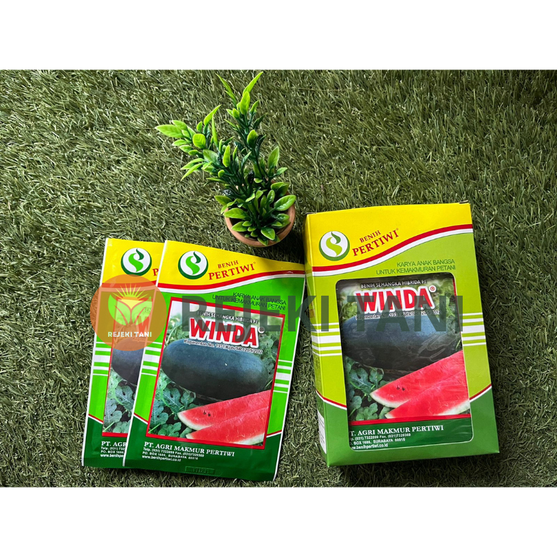 BENIH SEMANGKA INUL MERAH WINDA PERTIWI 20 GRAM