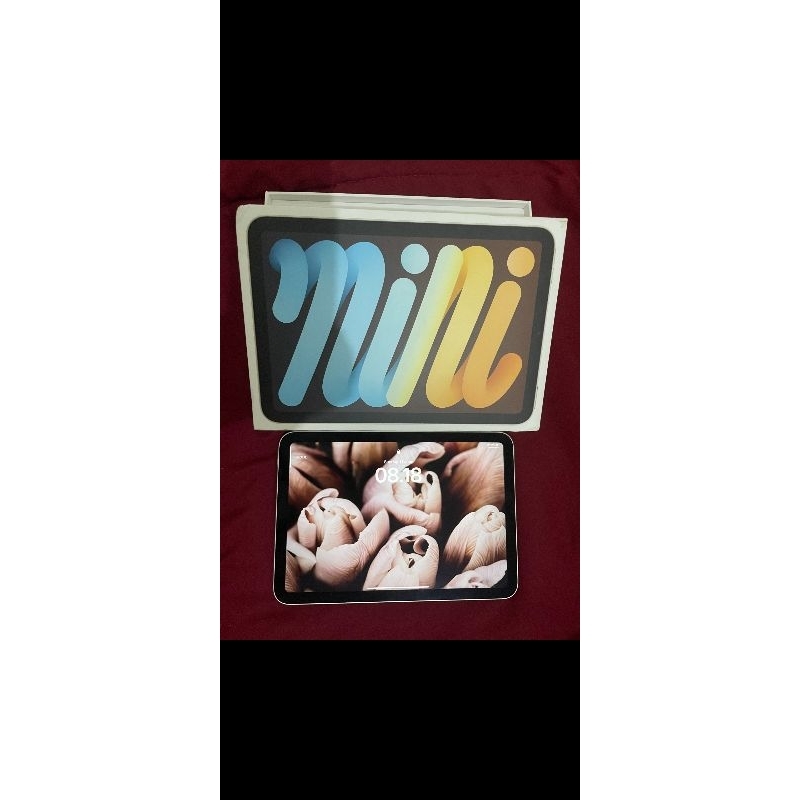 Ipad Mini 6 256gb IBOX