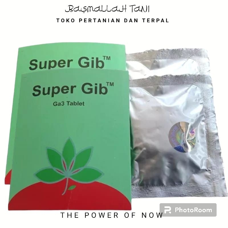 Super Gib 1 Tablet