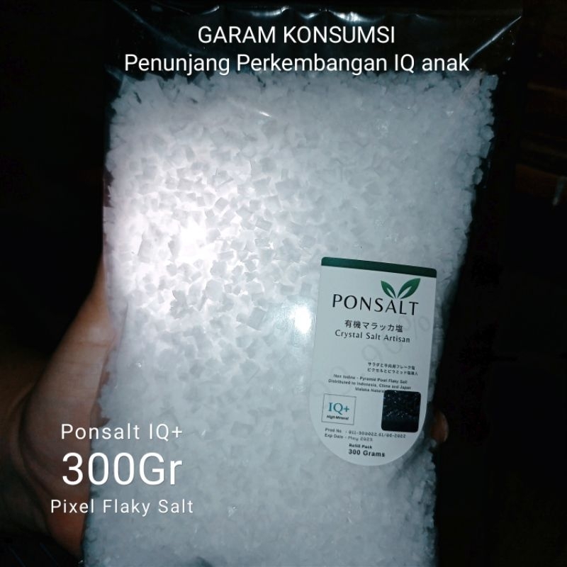 

Ponsalt IQ Plus Garam Dapur Murni