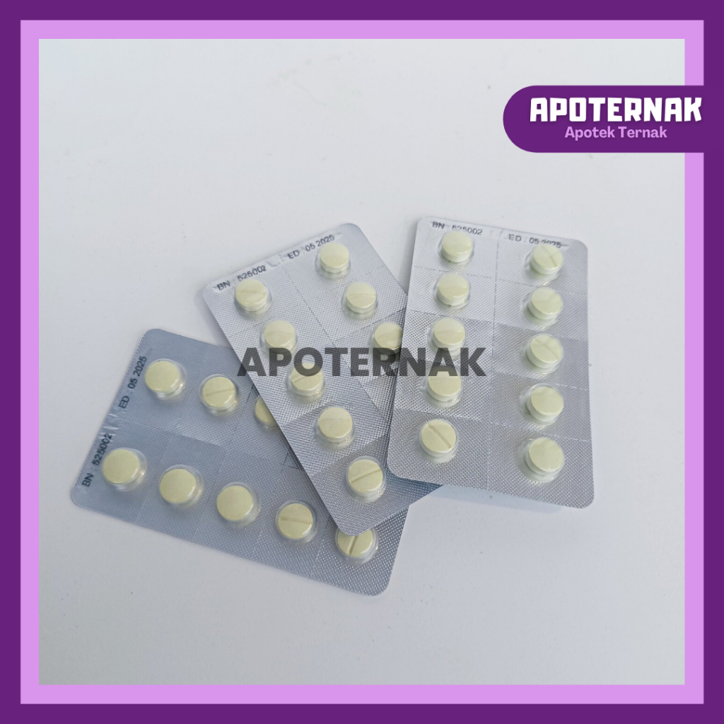 ANTHEL CAT 30 Tablet (1 Box Blister) Obat Cacing Spektrum Luas Untuk KUCING by Kalbe | Harga 30 Tablet Blister