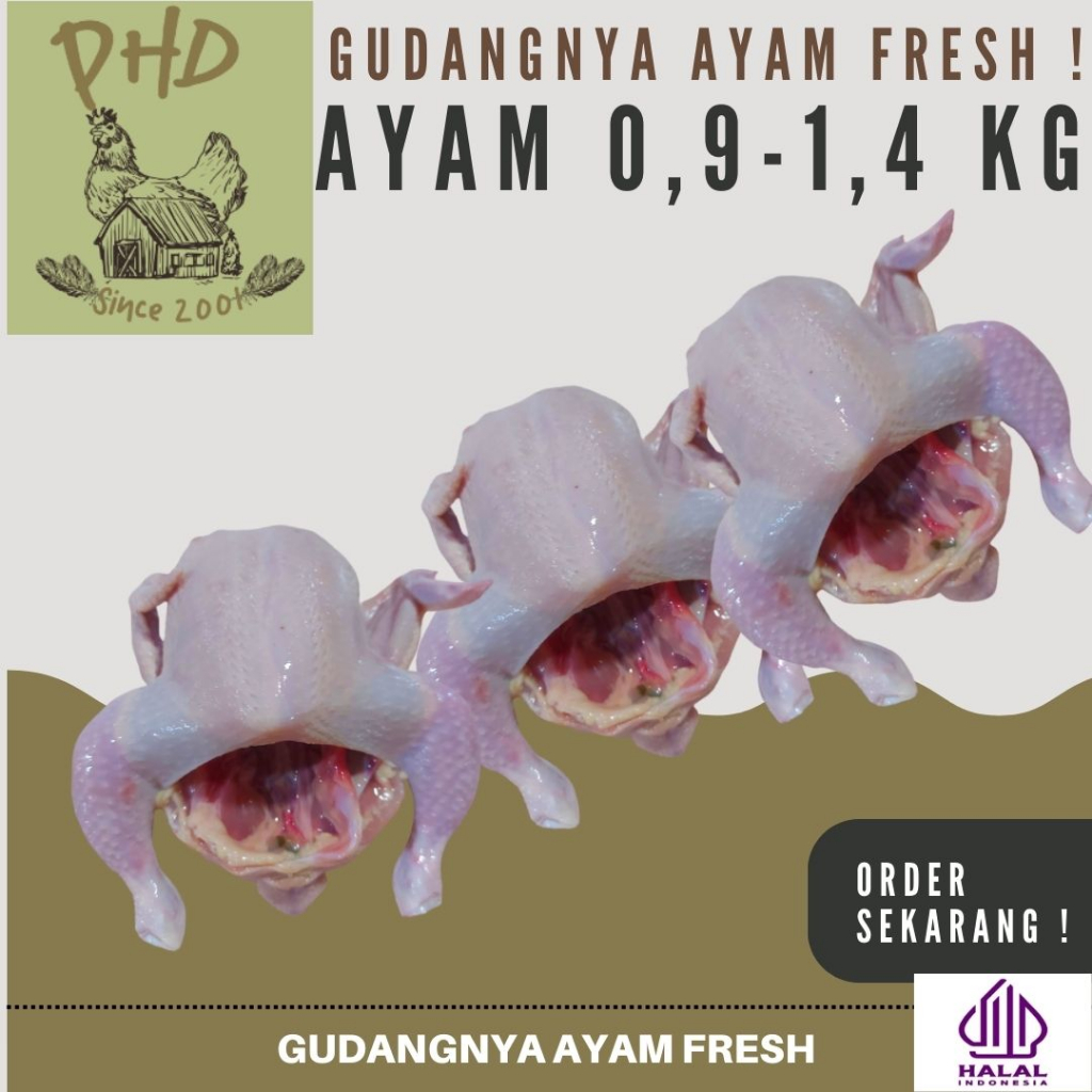 

AYAM PHD - BROILER 1 EKOR - SEGAR - MURAH - BERKUALITAS - FRESH 1.3 -1.4 KG