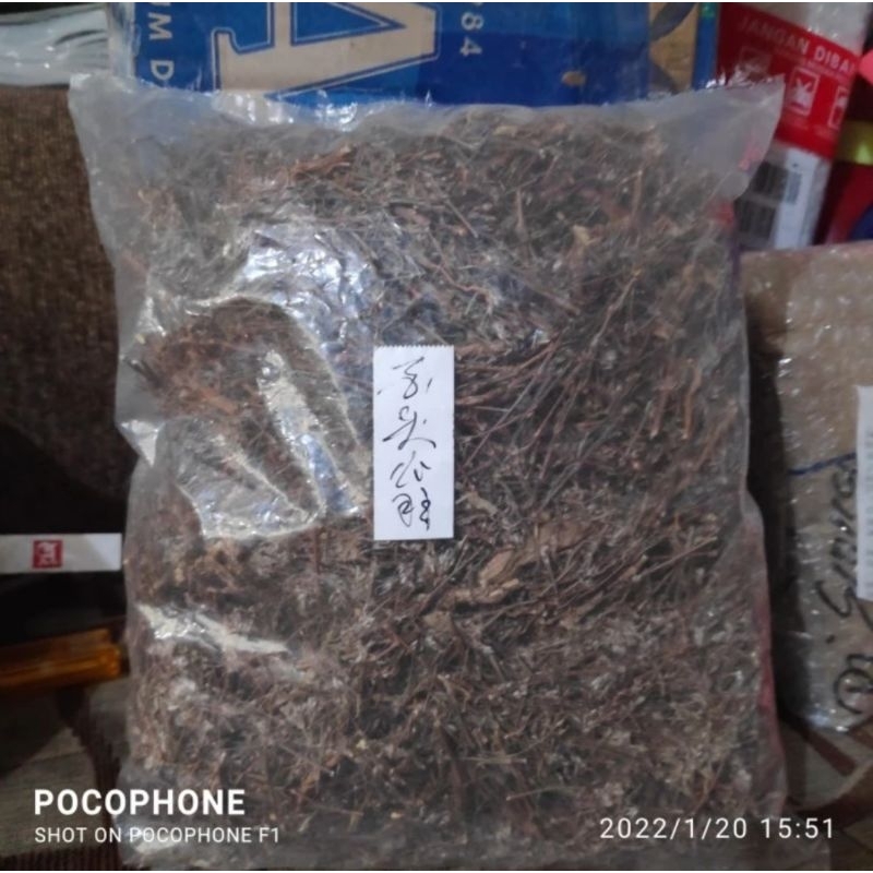 

100gr Herbal Bai Tou Weng 白头翁 Pulsatilla Chinensis