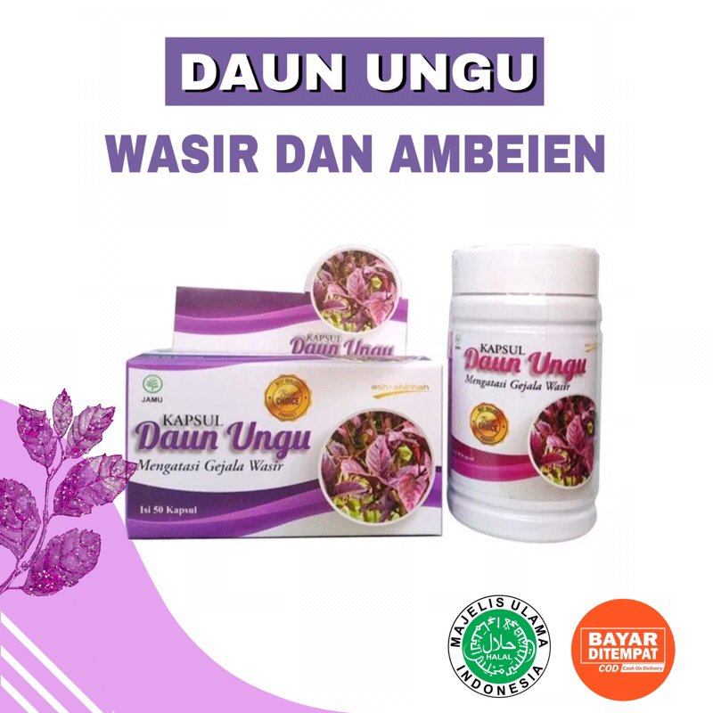 [Original] Kapsul Herbal Daun Ungu BPOM Obat Ambeien Wasir Ambeyen Benjolan Asli Ash Shihhah