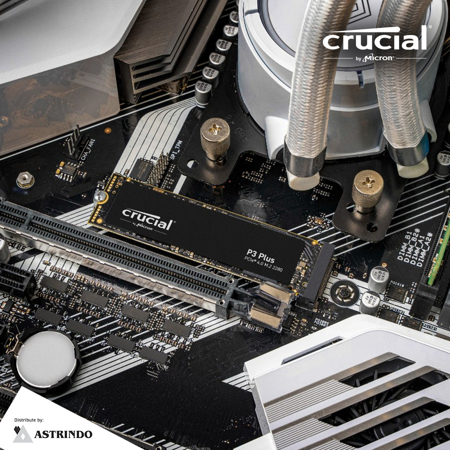 SSD Crucial® P3 Plus M2 4TB 3D NAND NVMe PCIE GEN 4