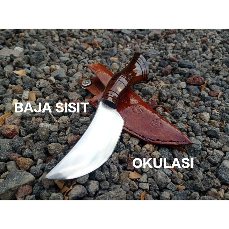 

PROMO cod.PISAU.OKULASI.GRAFTING.