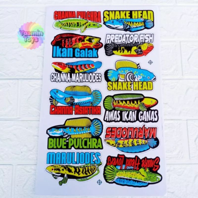 Stiker Aquarium Channa Lovers/Stiker ikan