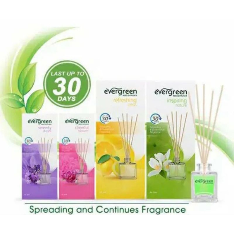 evergreen reed diffuser 30ml