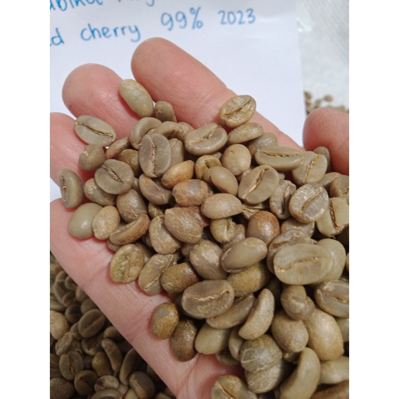 

Green Bean Arabika Arjuno Grade A Super Full Petik Merah Natural