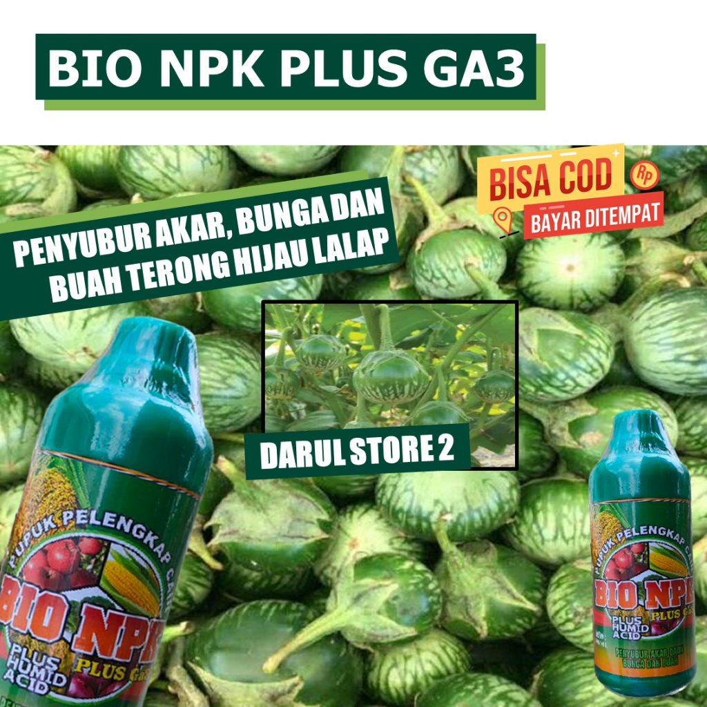 PUPUK SAYURAN TERONG LALAP BIAR CEPAT BESAR NPK GAZA Obat Mempercepat Pertumbuhan Daun Buah Terong H
