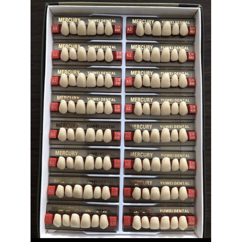 Gigi Artificial Gigi Palsu Yuwei Dental