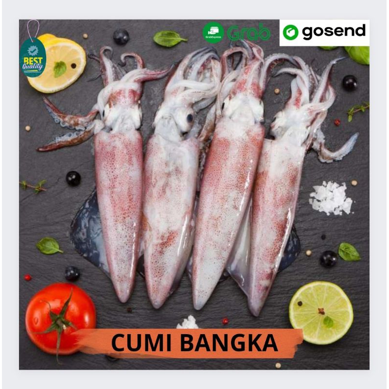 

Cumi Bangka Segar - 1000gr