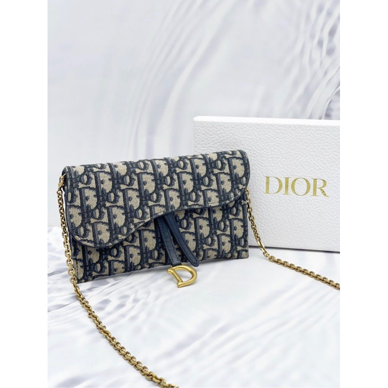 Dior saddle woc